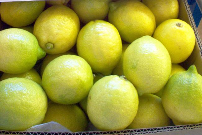 ALG-Estates-Lemon-Producers